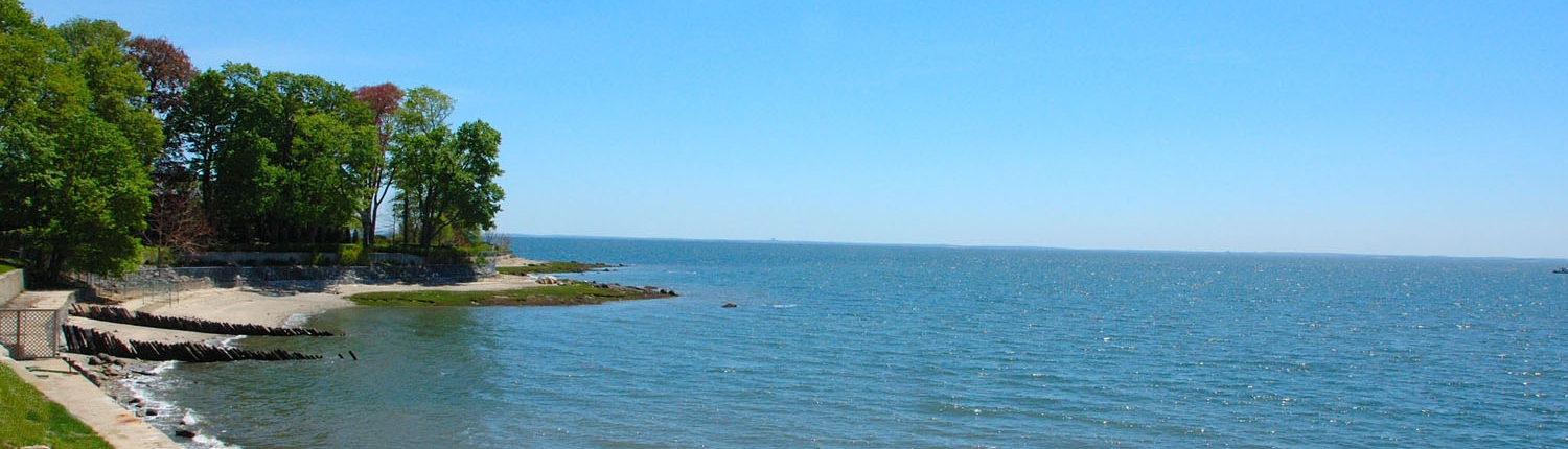 Waterfront & Estate Properties